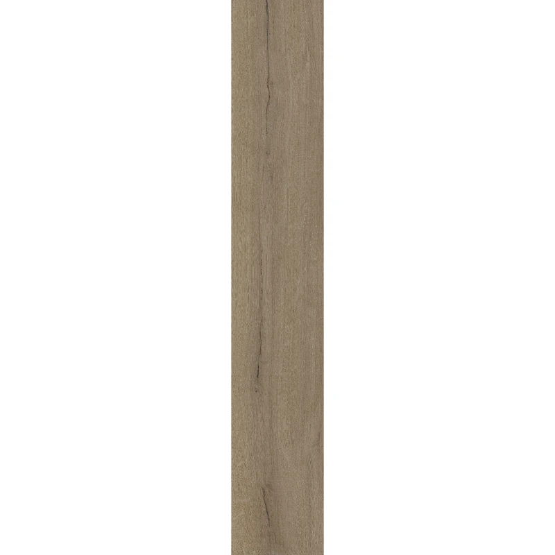 E31