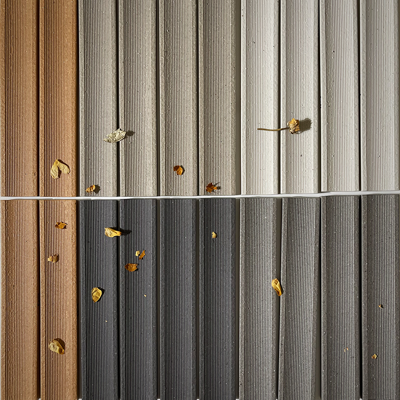Serie principal